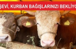 ATAŞEHİR AŞEVİ, KURBAN BAĞIŞLARINIZI BEKLİYOR