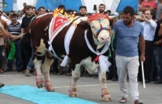 EN GÜZELİ 'AĞRI DAĞI'