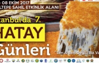 İstanbul'da Hatay Günleri