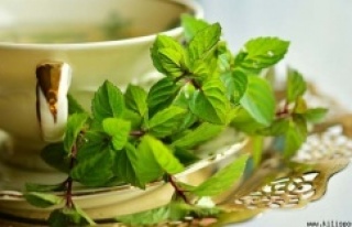 Yeşil Çay’ın Ağız ve Diş Sağlığına Etkisi