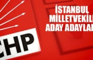 CHP'nin İstanbul Milletvekili Aday Adayları...