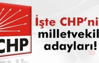 CHP Milletvekili Aday Listesi