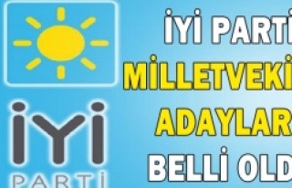 İYİ Parti'nin milletvekili adayları belli...