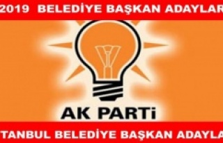 AK Parti'nin Muhtemel İstanbul ilçe belediye...
