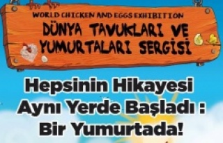 Dünyanın en özel yumurtaları İstanbullularla...