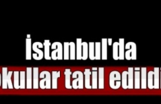 İstanbul'da okullar Tatil Edildi