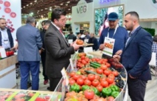 Türkiye, tohum üretimi ve ihracatında atağa kalktı