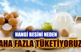 HANGİ BESİNİ NEDEN DAHA FAZLA TÜKETİYORUZ?