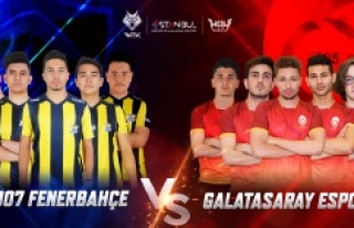 2019 Wolfteam Türkiye Kupası Finali 30 Kasım’da