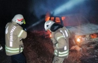Ataşehir'de ormanlık alanda araç yangını