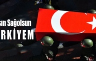 Başın Sağolsun Türkiyem