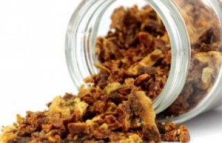 Bağışıklık Sisteminin Destekçisi: Propolis