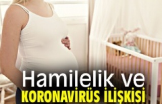 Hamilelik ve Koronavirüs İlişkisi