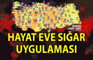 'Hayat Eve Sığar' uygulaması, koronavirüs...