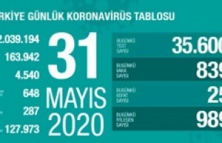 31 Mayıs 2020 Koronavirüs tablosu