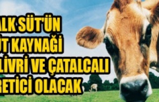 HALK SÜT’ÜN SÜT KAYNAĞI SİLİVRİ VE ÇATALCALI...