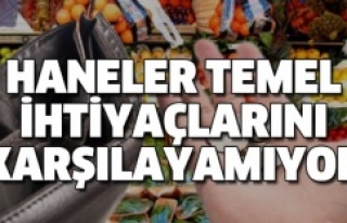 HANELER TEMEL İHTİYAÇLARINI KARŞILAYAMIYOR