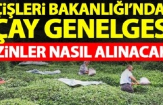 İçişleri Bakanlığı'ndan çay genelgesi