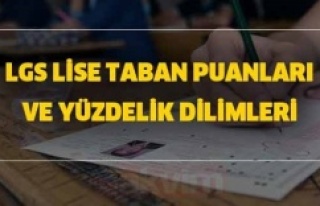 2020 lise taban puanları ve yüzdelik dilimleri!