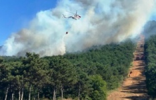 Ataşehir Kayışdağı ormanlık alanında yangın!