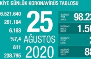 25 Ağustos Koronavirüs Türkiye tablosu