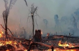 2020'nin ilk 8 ayında 2 bin 114 orman yangını...