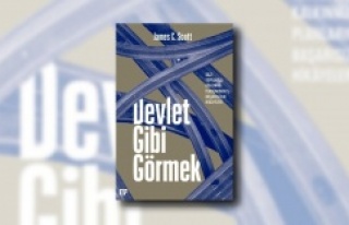 DEVLET GİBİ GÖRMEK