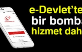 e-Devlet 'e yeni bir hizmet eklendi