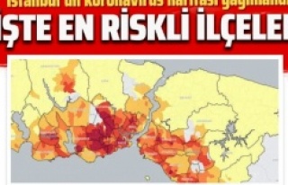 COVID-19 İstanbul Kırılganlık Haritası