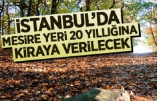 İstanbul'da mesire yeri 20 yıllığına kiraya...