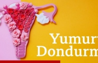 YUMURTA DONDURMA İŞLEMİ