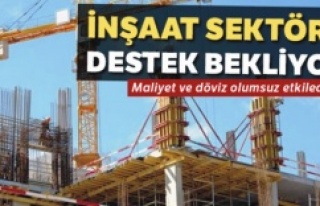 İnşaat Sektörü Destek Bekliyor