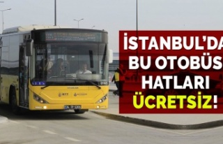 İstanbul'da bu İETT otobüs hatları 7/24 ücretsiz...