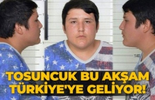 Tosuncuk' Türkiye'ye getiriliyor