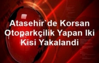 Ataşehir'de korsan otoparkçılık yapan iki...