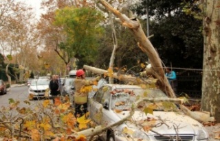 İstanbul’da 528 çatı uçtu, 839 ağaç devrildi