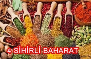 4 SİHİRLİ BAHARAT