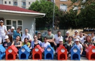 Yerli mobilya şirketi Ataşehir’e 50 kedi evi bağışladı