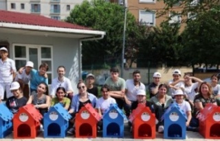 Yerli mobilya şirketi Ataşehir’e 50 kedi evi bağışladı