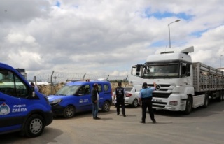 ATAŞEHİR BELEDİYESİ İLÇEYE KAÇAK HAYVAN GİRİŞİNE...