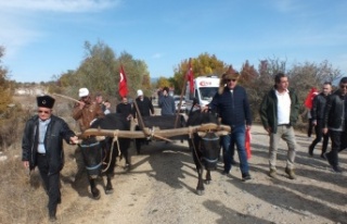 ÇANKIRI 14. TARİHİ İSTİKLAL YOLU YÜRÜYÜŞÜ...