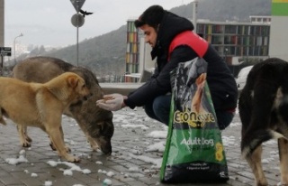 Maltepe Belediyesi’nden 5 ton mama