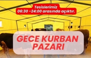 Ataşehir Ferhatpaşa Kurban Pazarı