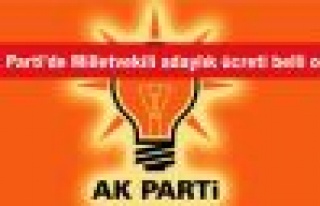 AK Parti'de Milletvekili adaylık ücreti belli oldu