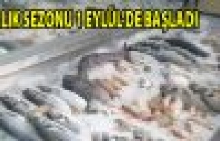  Balık Sezonu 1 Eylülde Başlıyor