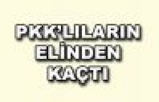 Bitlis'te kaçırılan asker, PKK'lıların elinden...