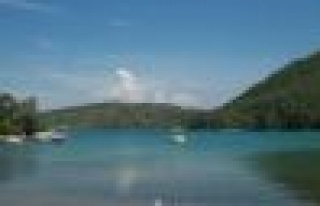 Bodrum'da satışa çıkan arazi için önemli teklif