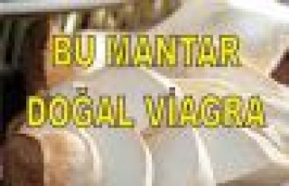 Bu Mantar Doğal Viagra