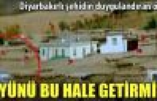 Diyarbakırlı şehit, köyünü bayraklarla donatmış