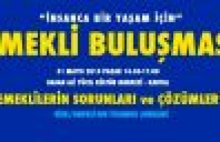 “EMEKLİLERİN İSTANBUL BULUŞMASI ”SESSİZ ÇIĞLIK